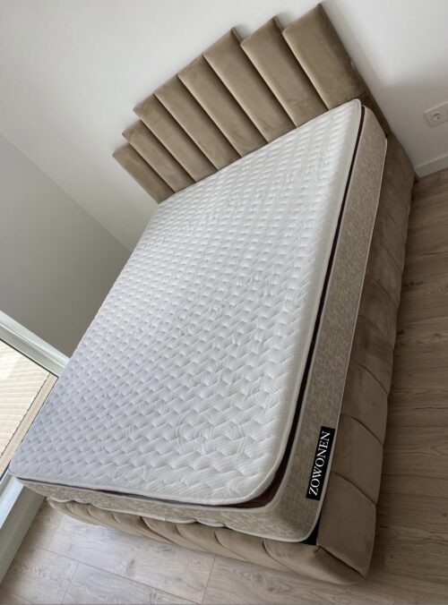 B3494E3B-FD73-4612-87DA-84437EDF8526